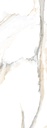 Atlantis-Gold-1000X3000-1-1.jpg