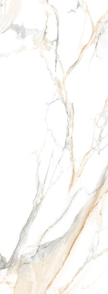 Atlantis-Gold-1000X3000-2.jpg