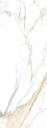 Atlantis-Gold-1000X3000-2.jpg