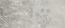Botanical-Cold-1200x2800-1.jpg