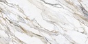 Calacatta-Paonazzo-1600x3200-2_R_12_20.jpg