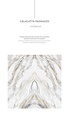 calacatta_paonazzo-1-scaled.jpg
