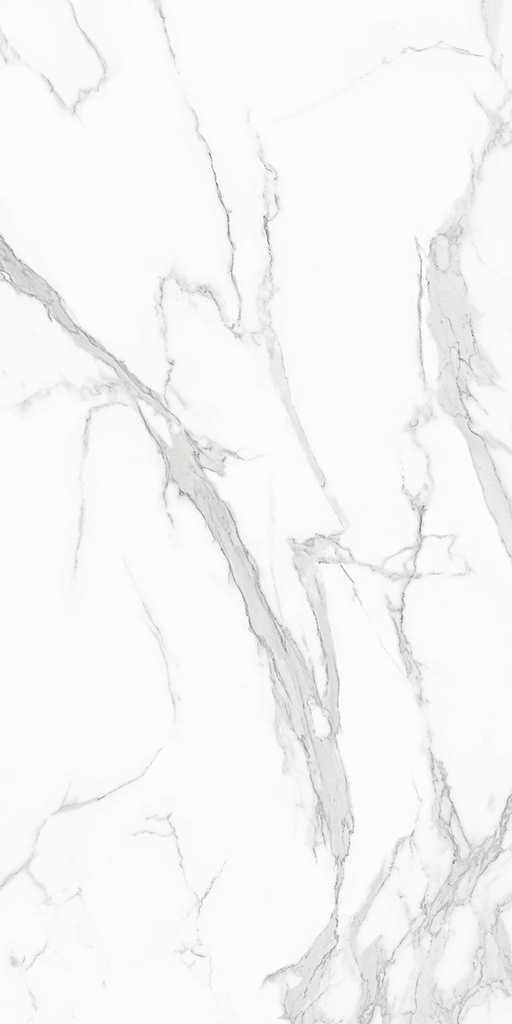 Estatuario-1600x3200x12-R.jpg