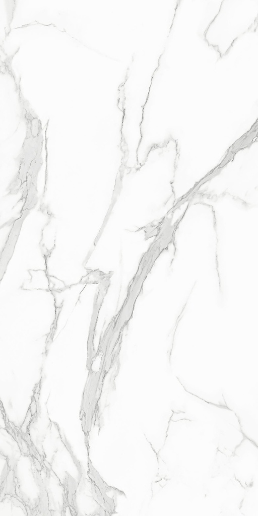 Estatuario-1600x3200x12-L.jpg