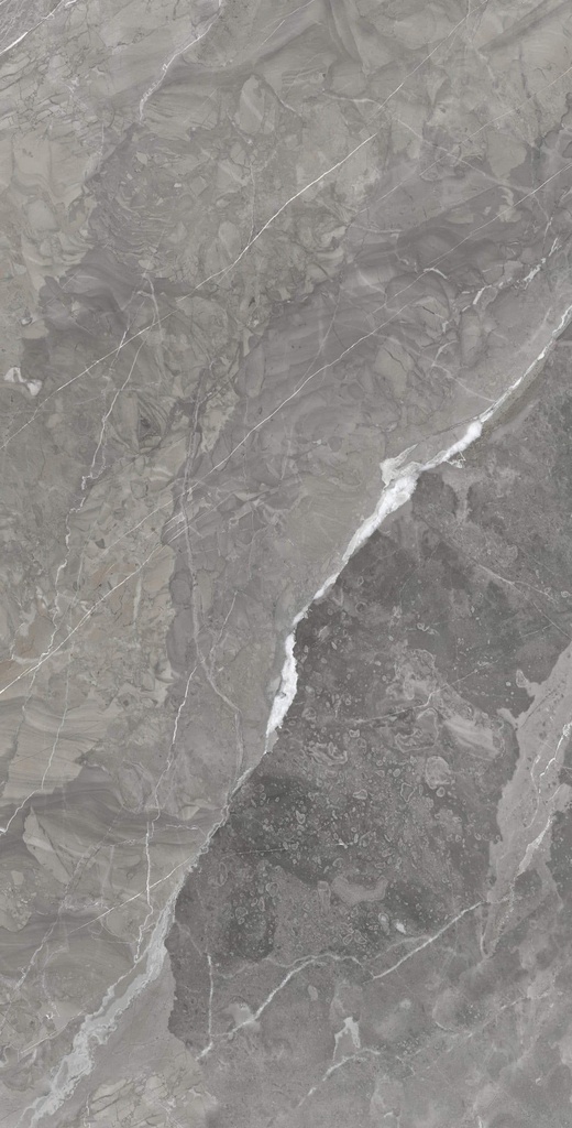 Rosa-Persia-1600X3200x12-1-scaled.jpg