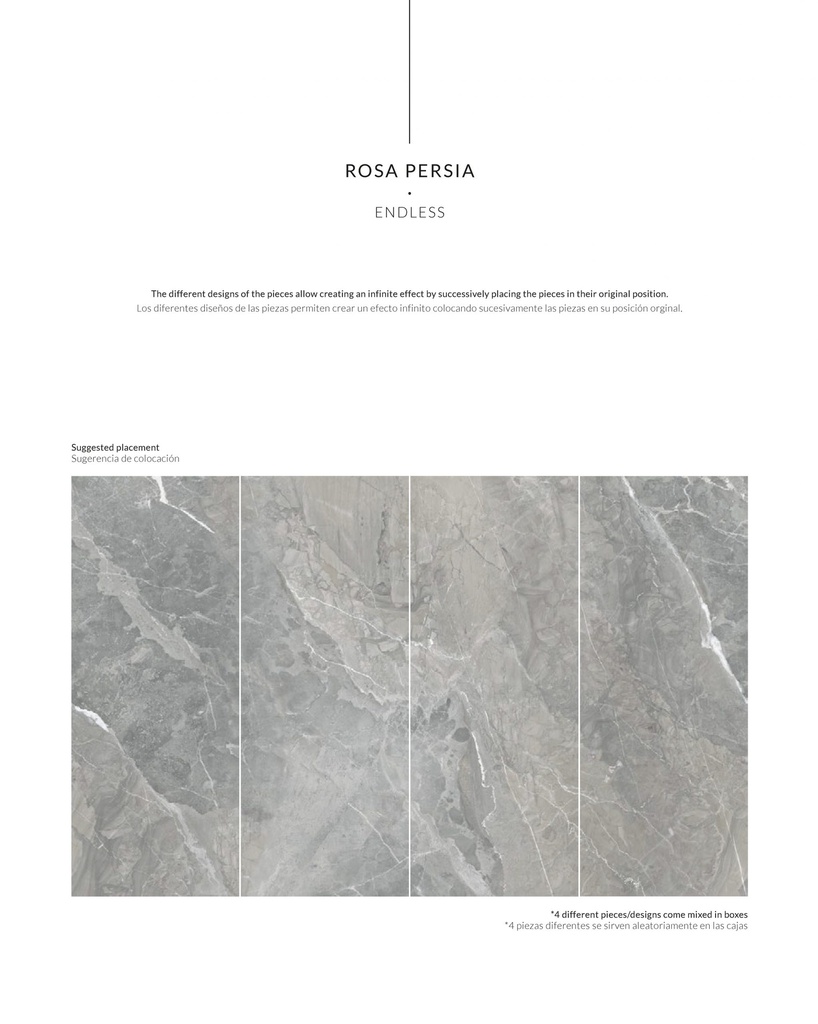 rosa_persia-scaled.jpg
