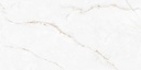 Syrac-1600x3200x12-1.jpg