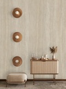Amb-Det-Travertine-Navona-Hond-1200x3000x6-2.jpg