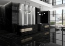 Porcelaine — Sahara Noir Polished 1000 x 3000 - 6mm